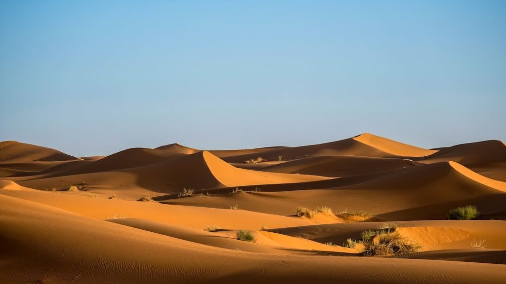 Green Bushes on Desert